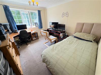 Picture 13